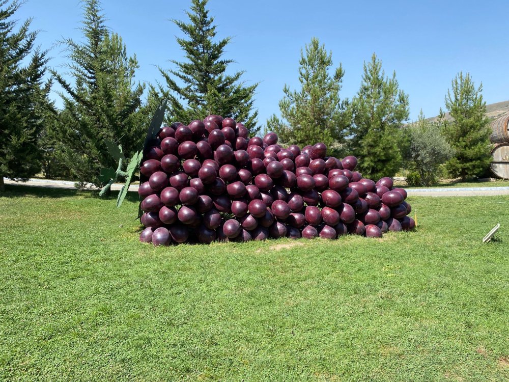 Na Festivale vinograda i vina v Semaxe, 2024